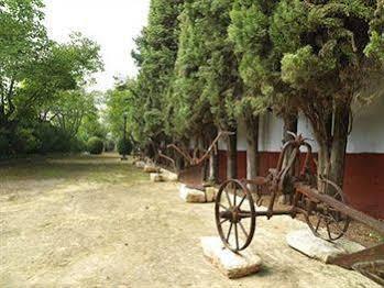 Hacienda La Vereda 몬틸라 외부 사진